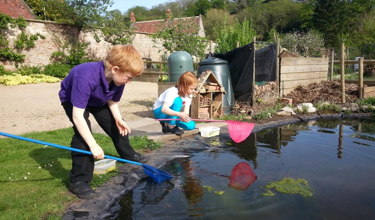 Minibeast Muddy Monday at The Bishop’s Palace