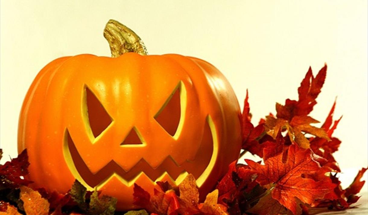 Pumpkin Fun at Noah's Ark Zoo Farm