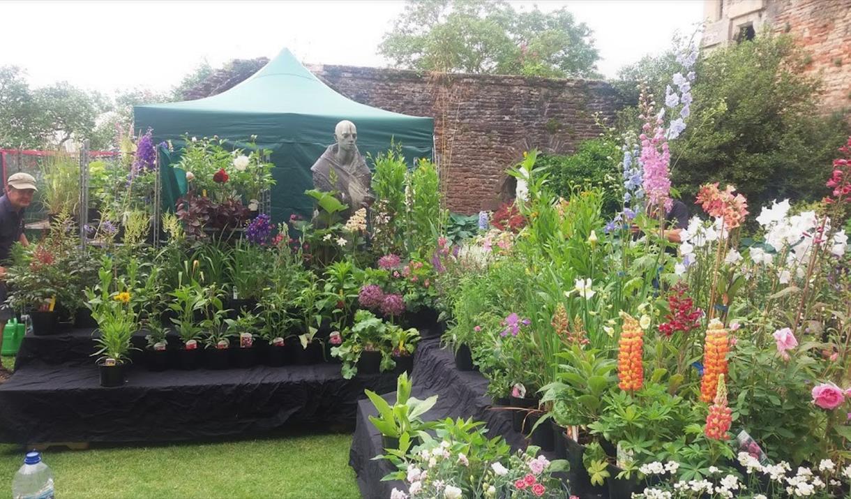 Rare Plant Fair