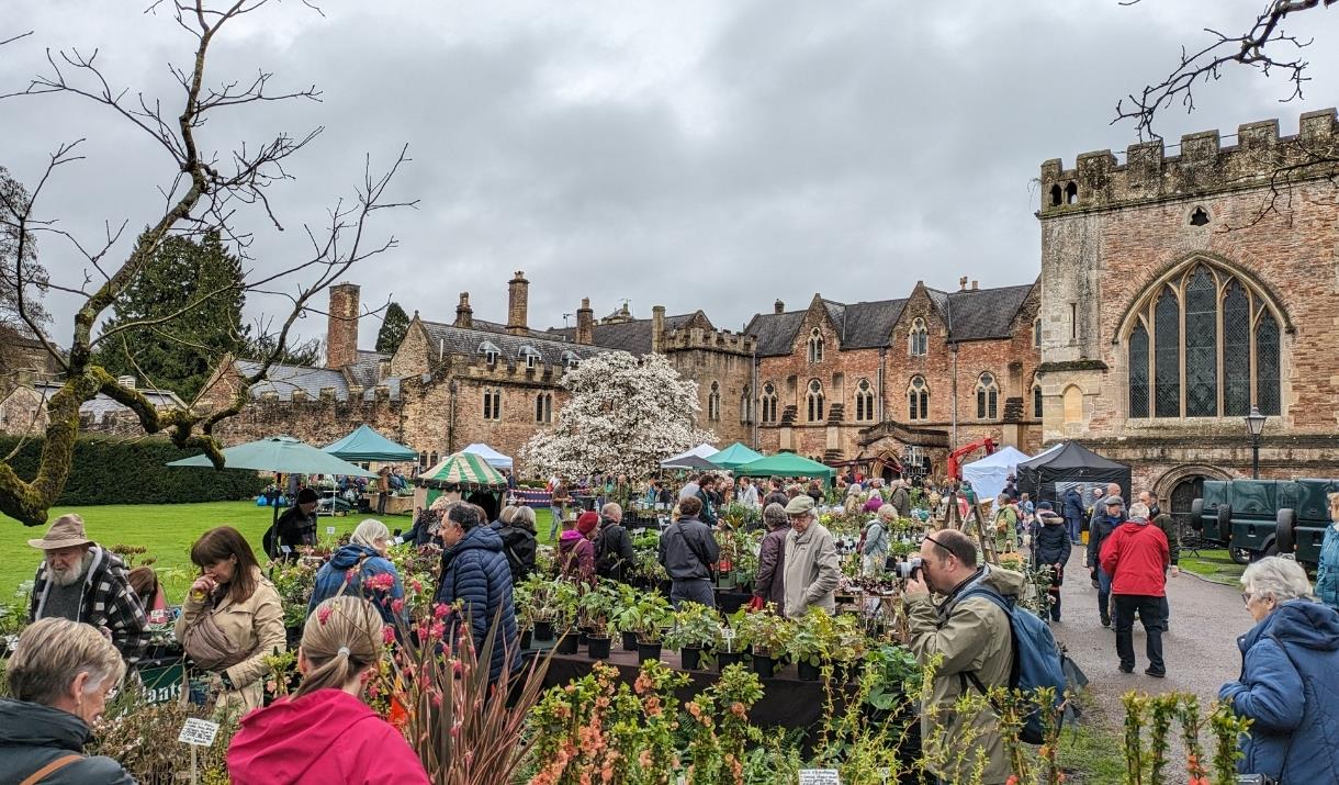 Rare Plant Fair at The Bishop's Palace