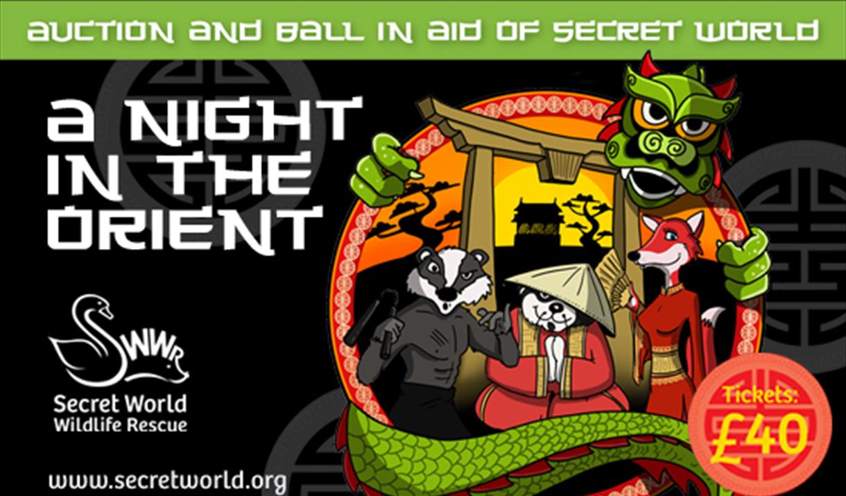 Charity Auction and Ball