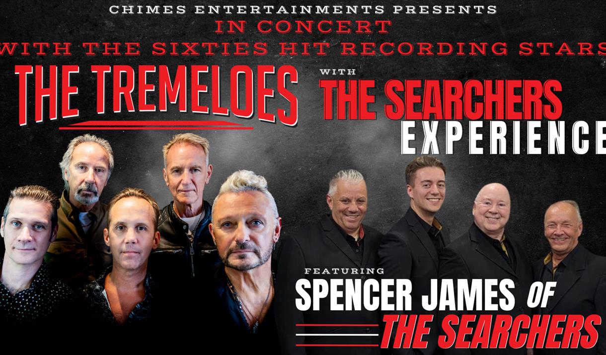 The Tremeloes and The Searchers