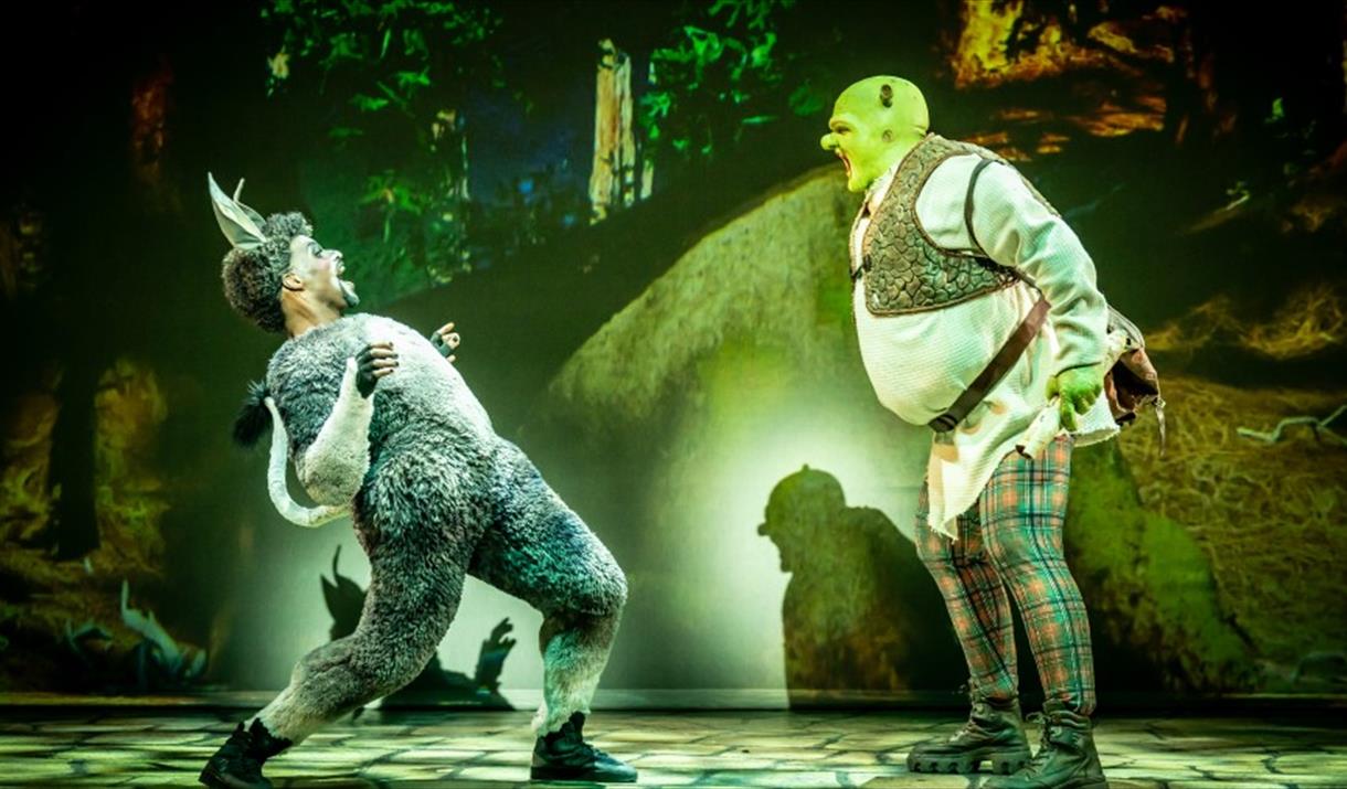 Donkey and Shrek