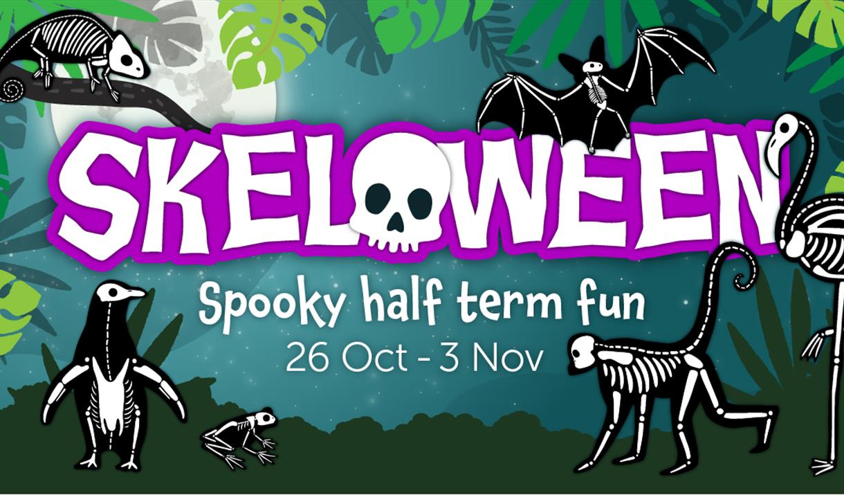 Skeloween at Bristol Zoo Gardens