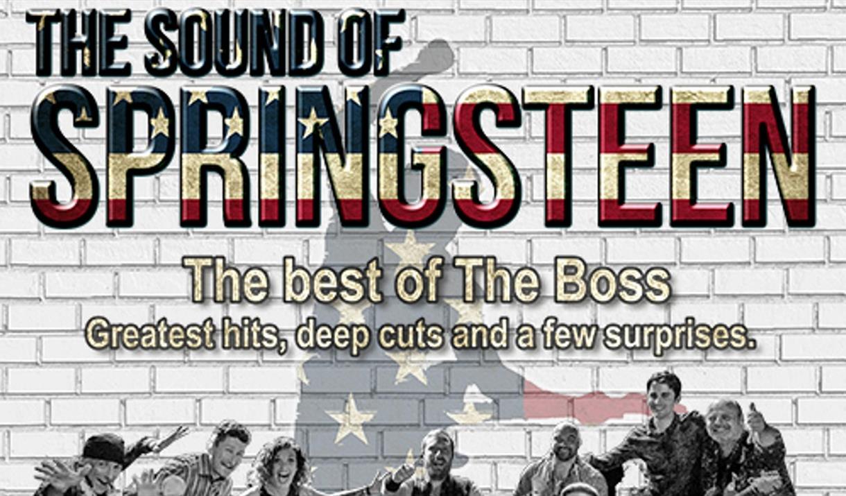 Bruce Springsteen tribute poster
