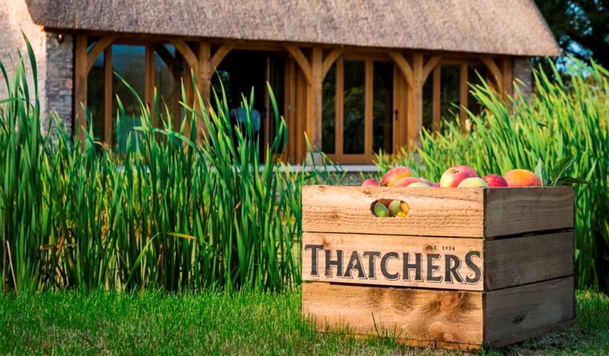 Thatchers Cider Tasting Evening
