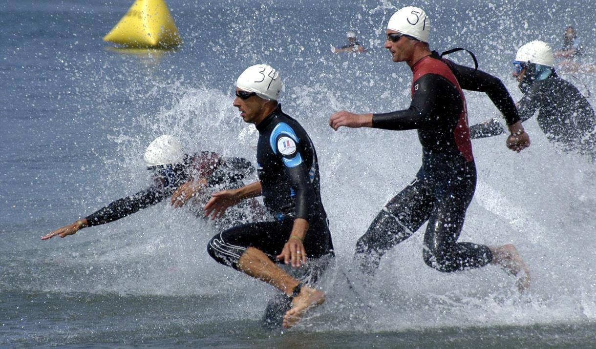 Four runners entering the water for a triathlon
