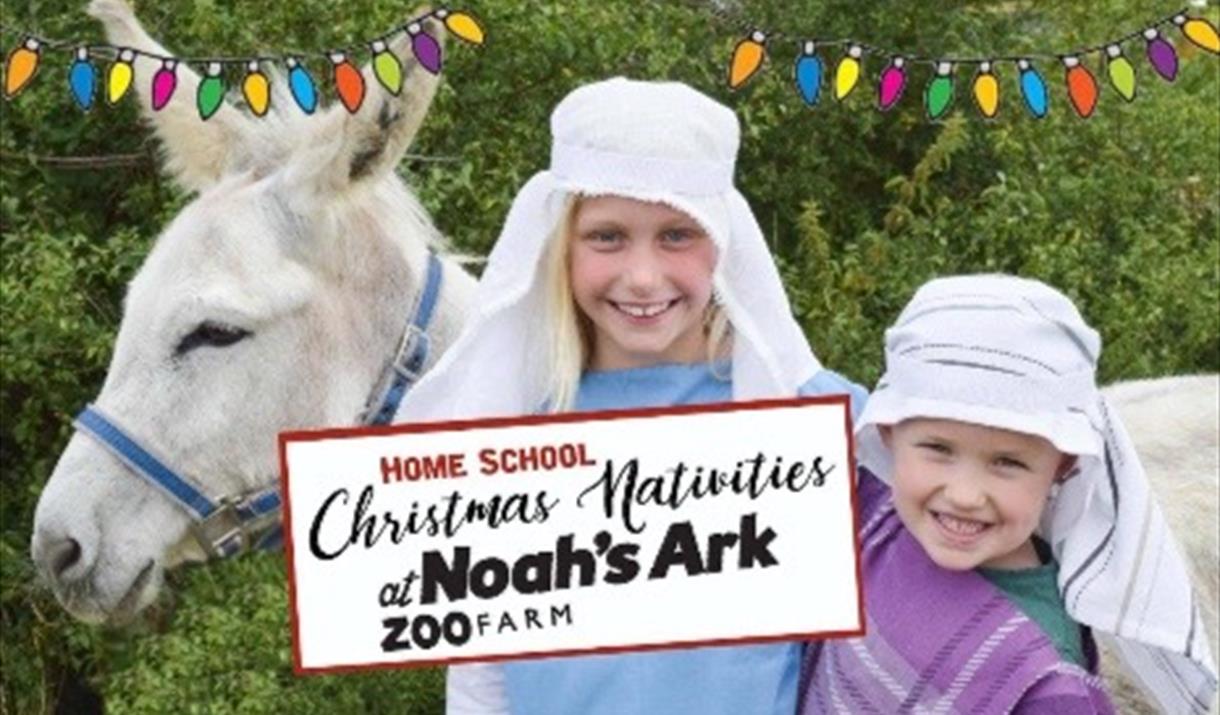 Home School Christmas Nativities at Noah's Ark