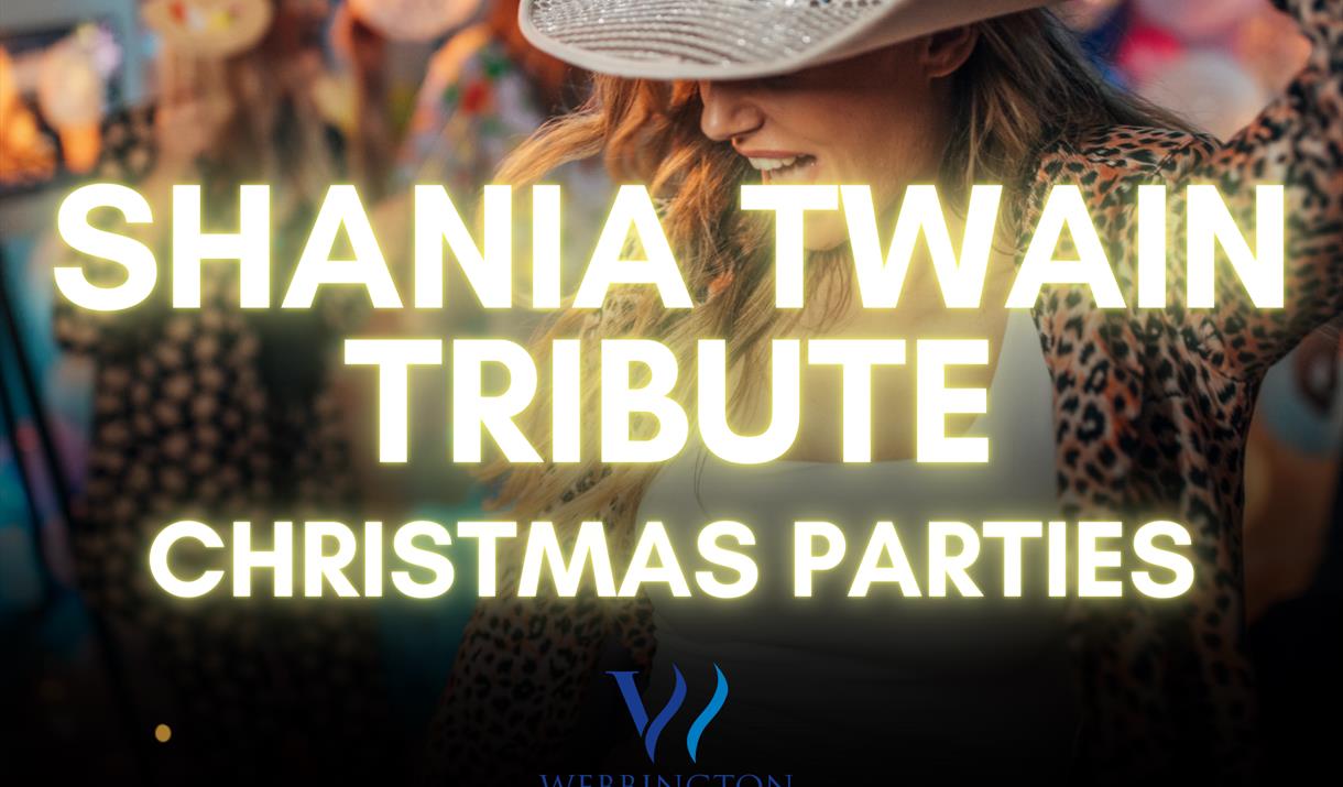 Shania Twain Christmas Party