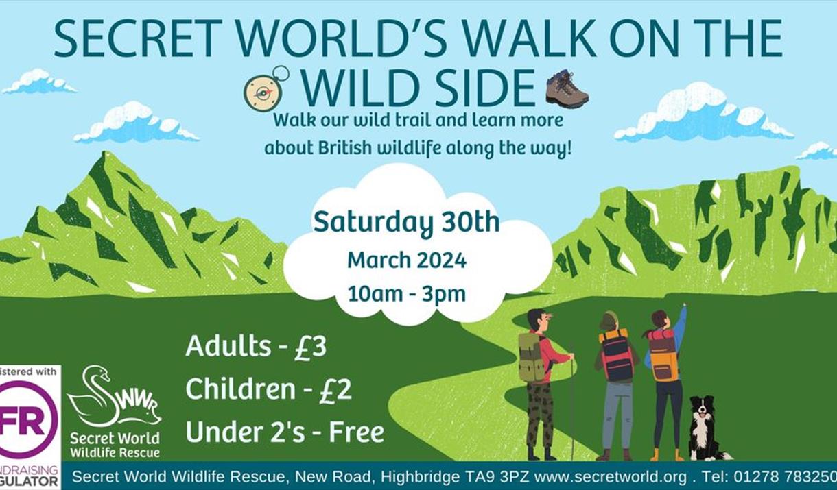 Flyer featuring artistic impression of a path leading into the mountains with three people and a dog about to embark on a trek