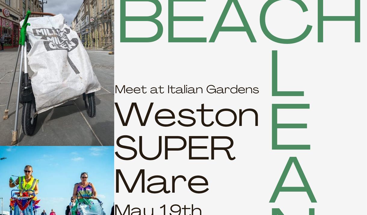 Beach Clean and Litter Picking Event - Sophie's SUPER Litter Picking group