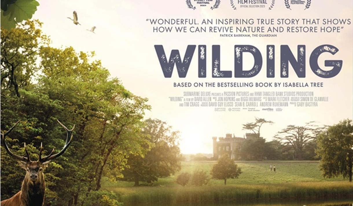 Movie poster of a stag in the foreground of a country estate