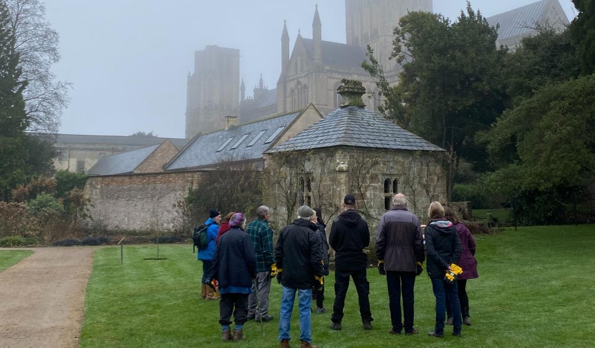 Winter Gardening & Snowdrops Walk & Talk