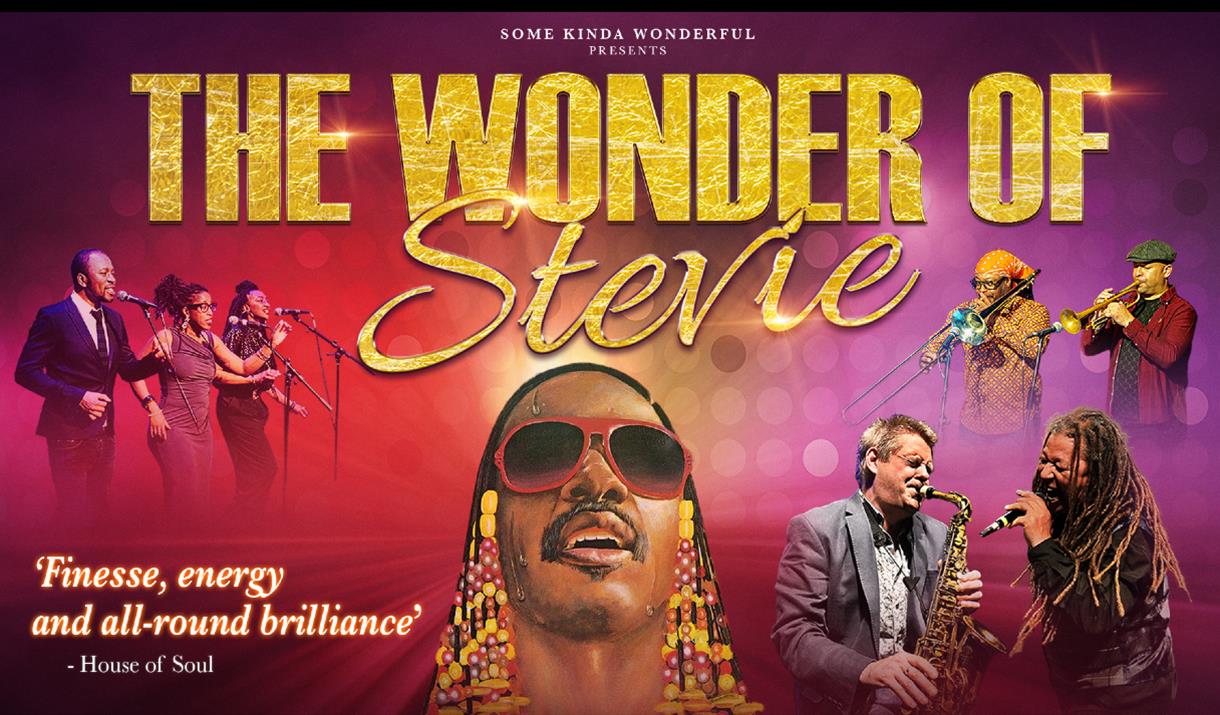 The Wonder of Stevie