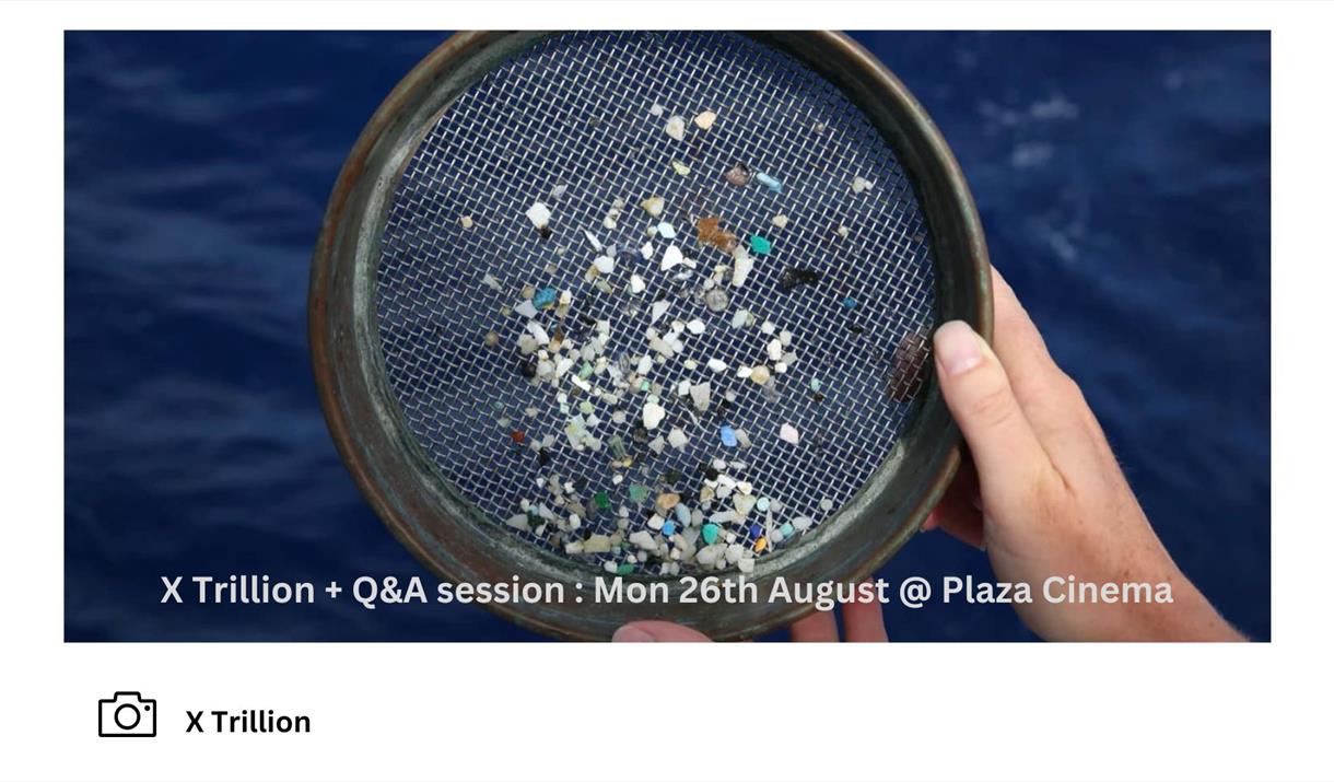 Sieve containing microplastics