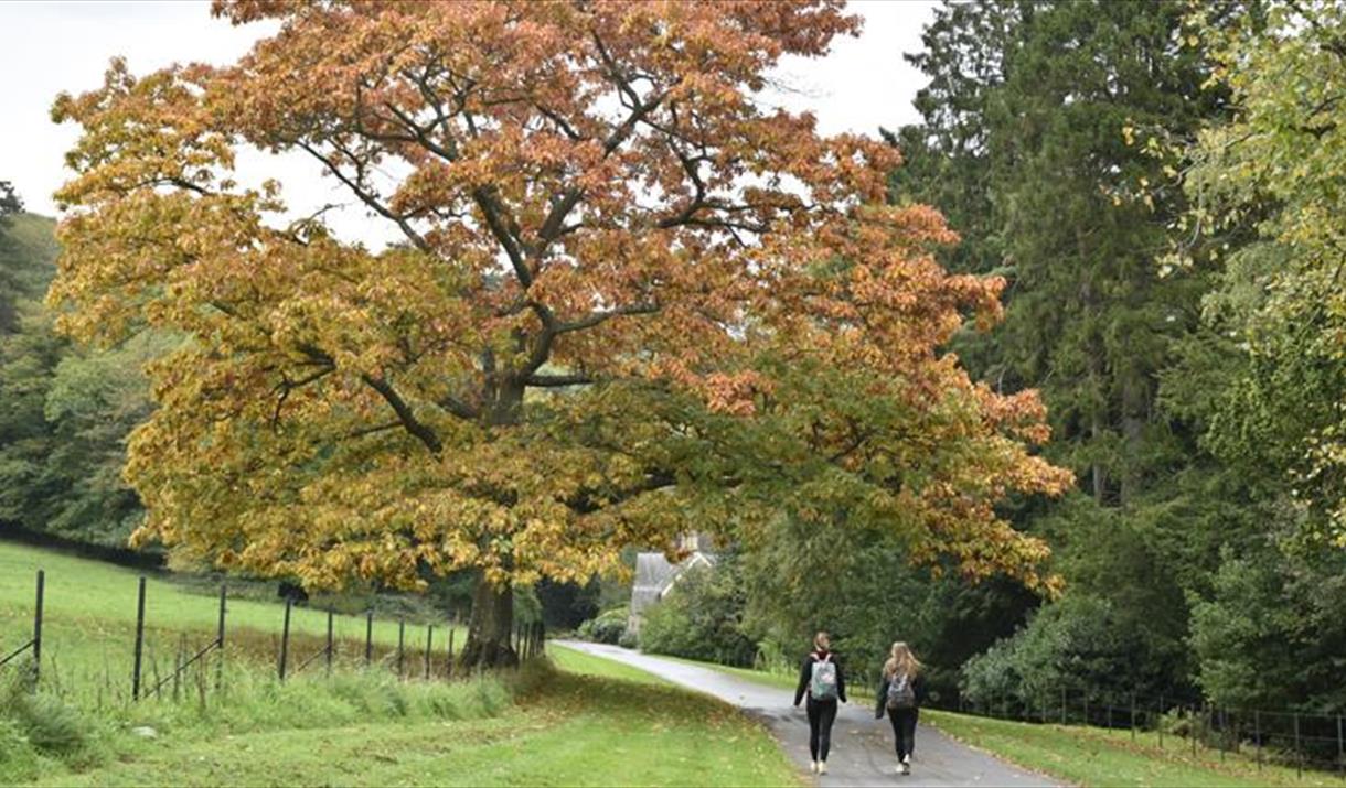 Autumn sketching tours at Tyntesfield