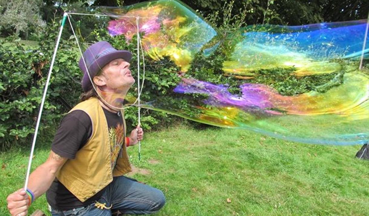 Balloons, Birds and Bubbles Family Fun Day