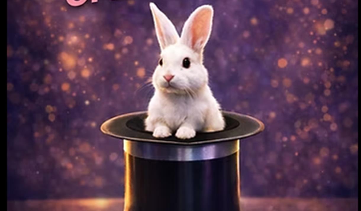 A white rabbit popping out of a magician's hat