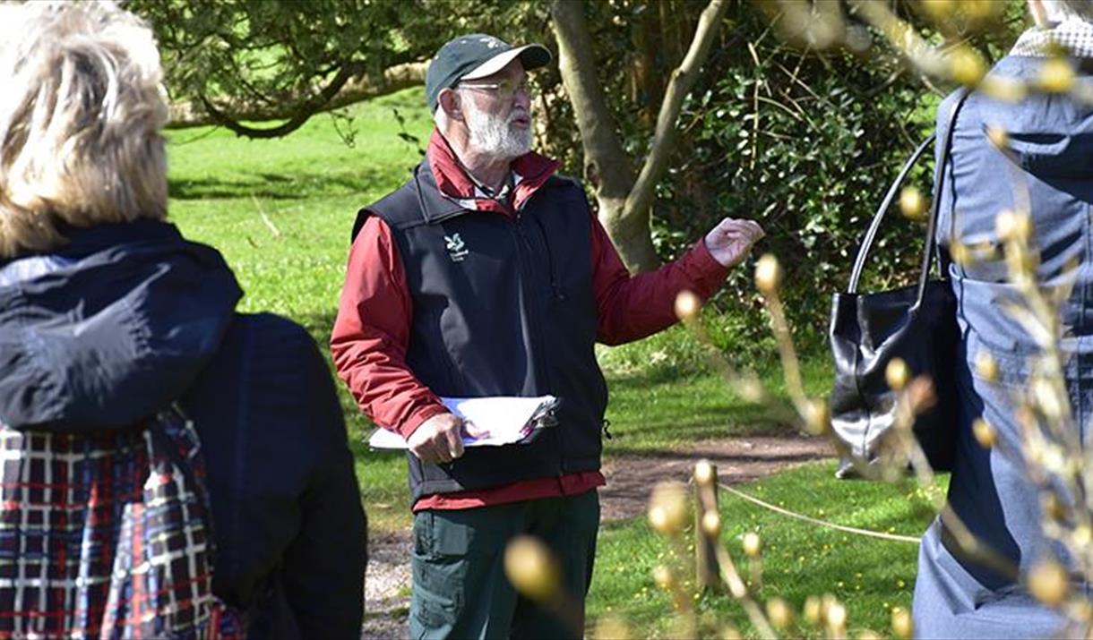 Champion Tree Walk