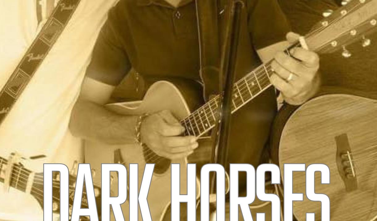 dark horse band