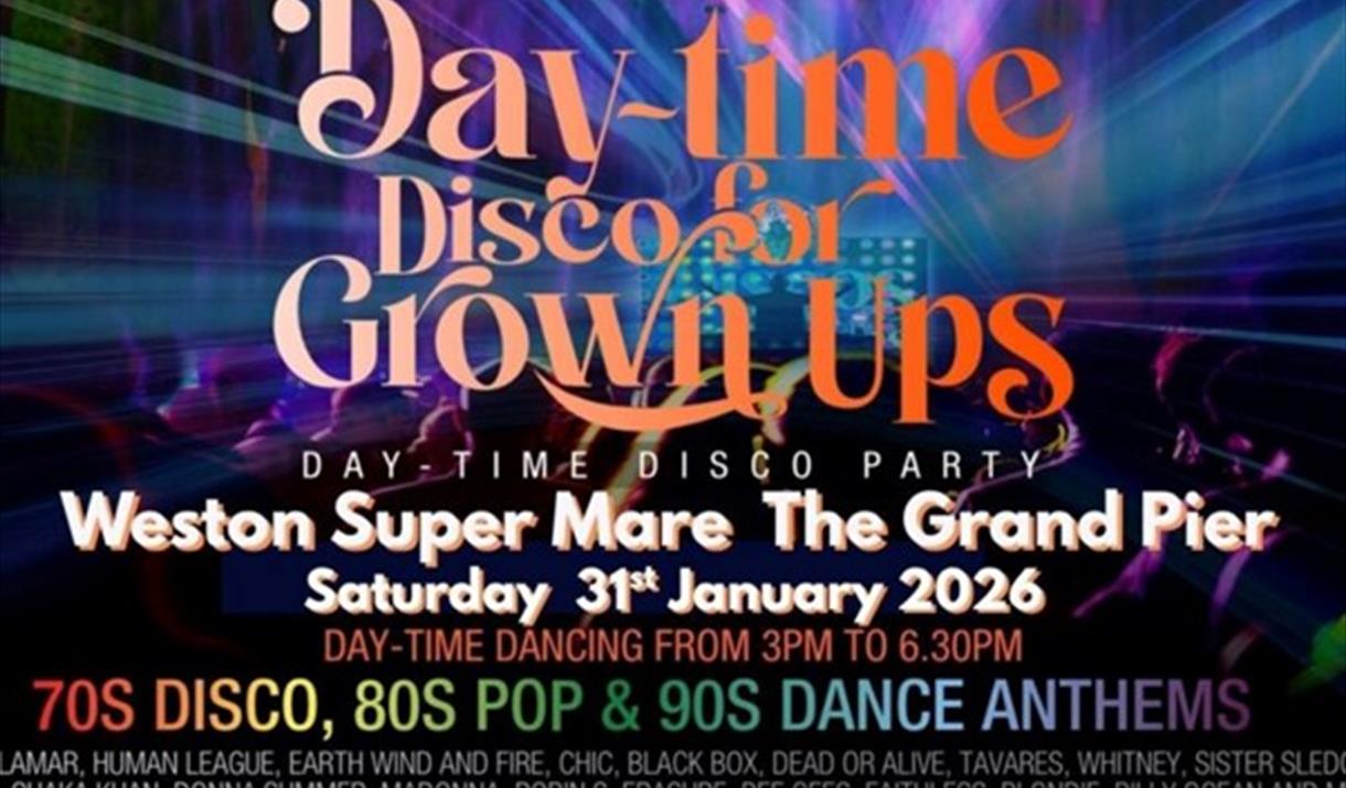 Day Disco for grown ups poster