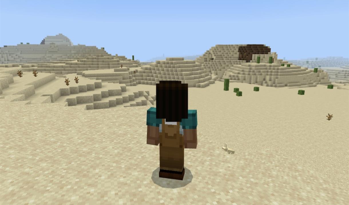 Minecraft club for children