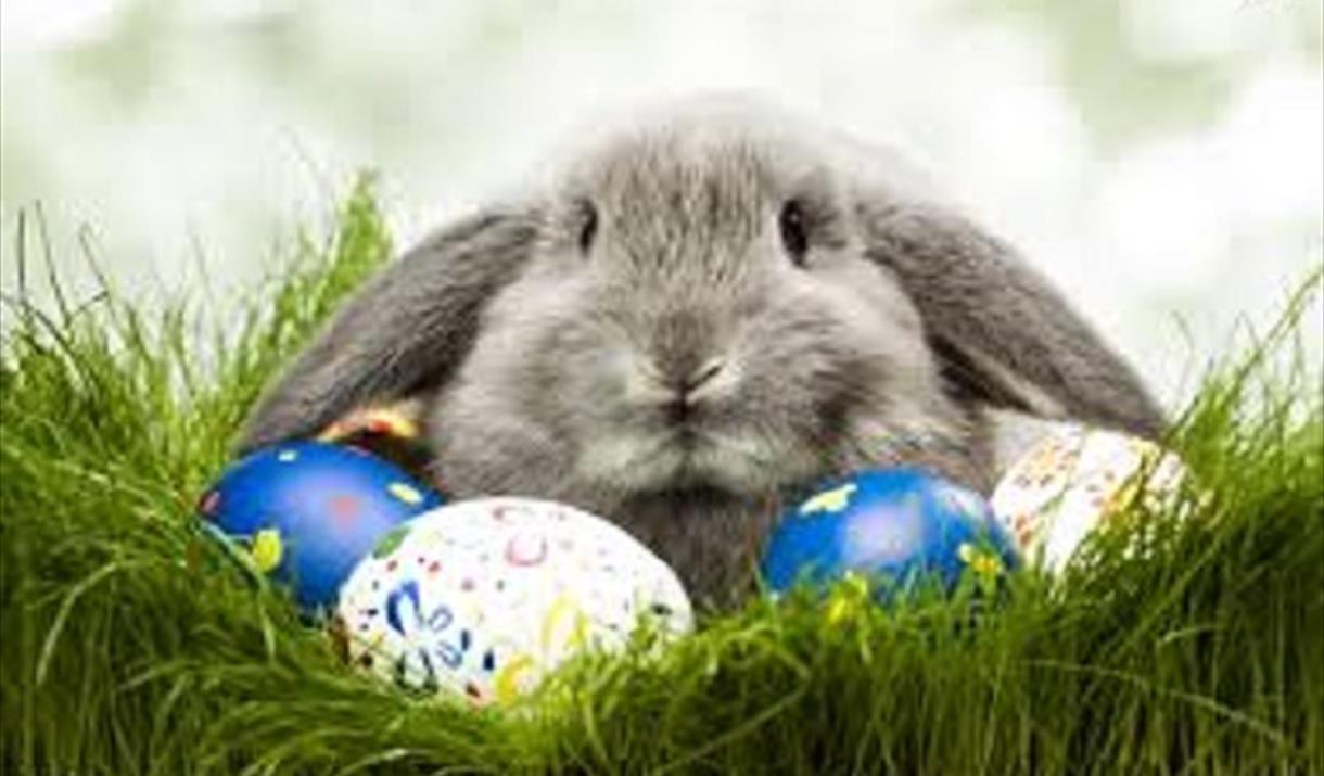 Easter Animals