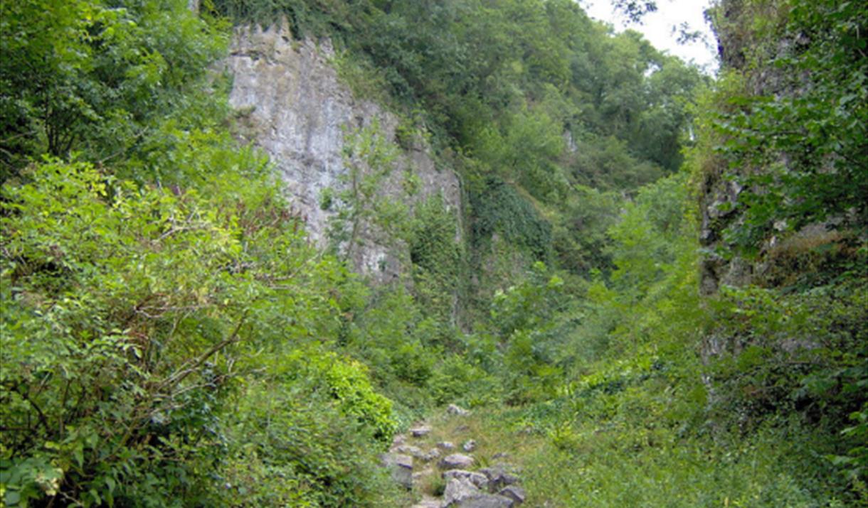 Ebbor Gorge