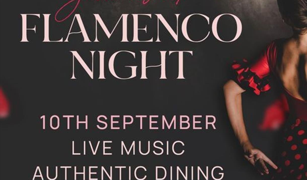 Flamenco Night at Il Michelangelos