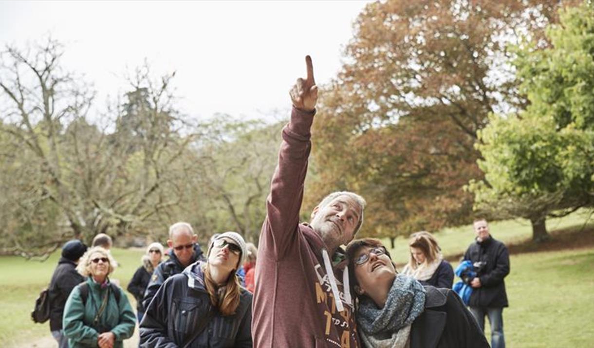 Golden tree walks at Tyntesfield