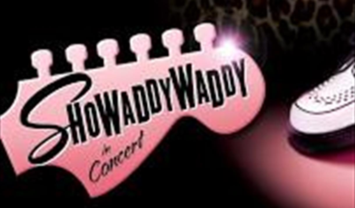 A pink guitar with the words 'ShowaddyWaddy' across it.