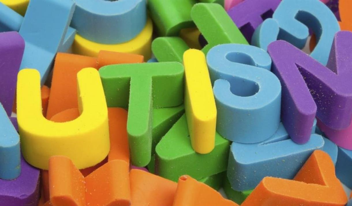 Autism Networking Event