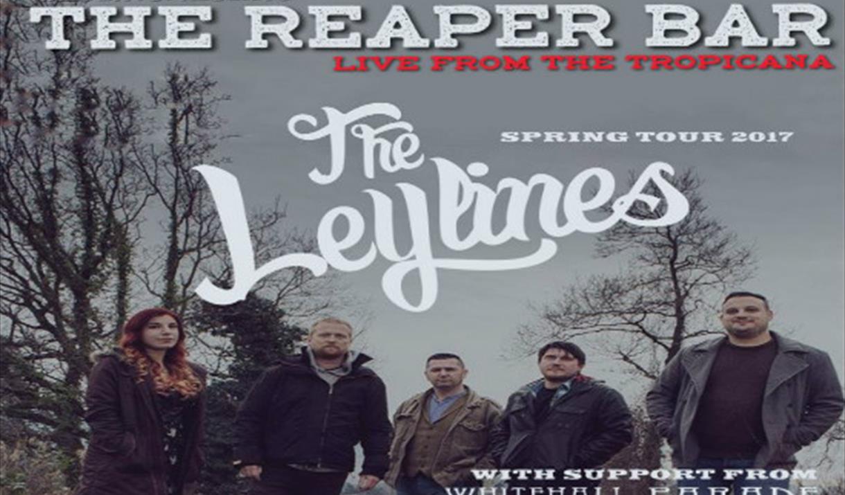 The Leylines