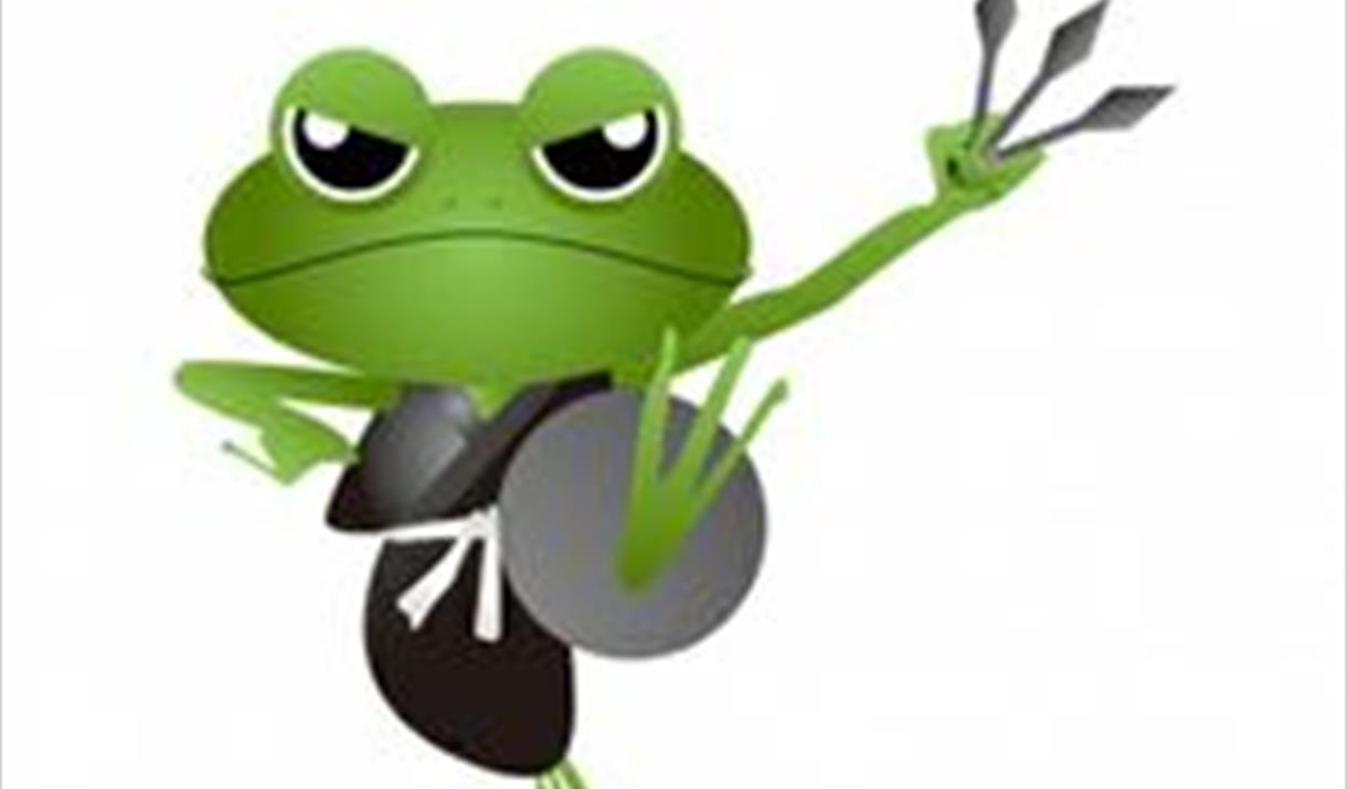 Nature Ninjas