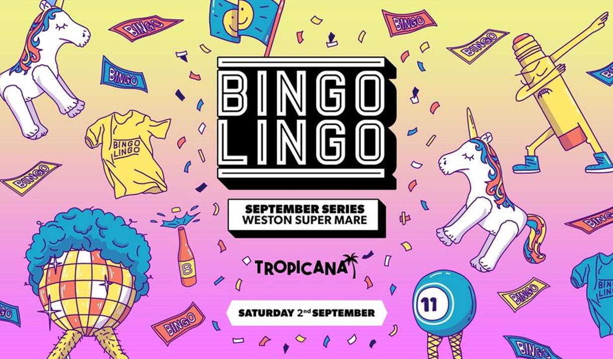 Cartoon style poster advertising Bingo Lingo