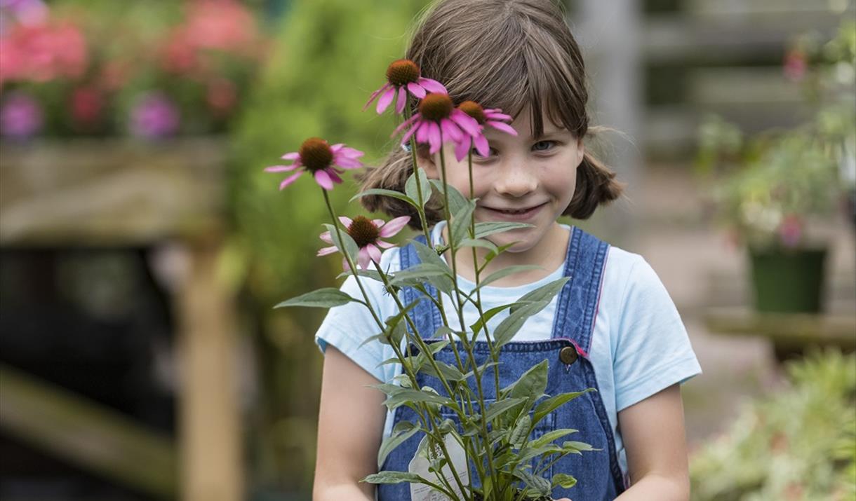 Hestercombe Plant Fair