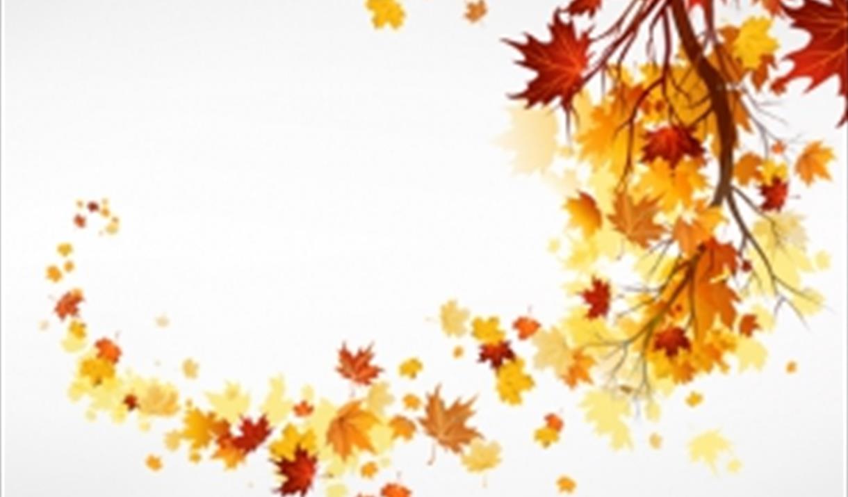 Half-Term Free Family 'Art with Leaves' Workshop