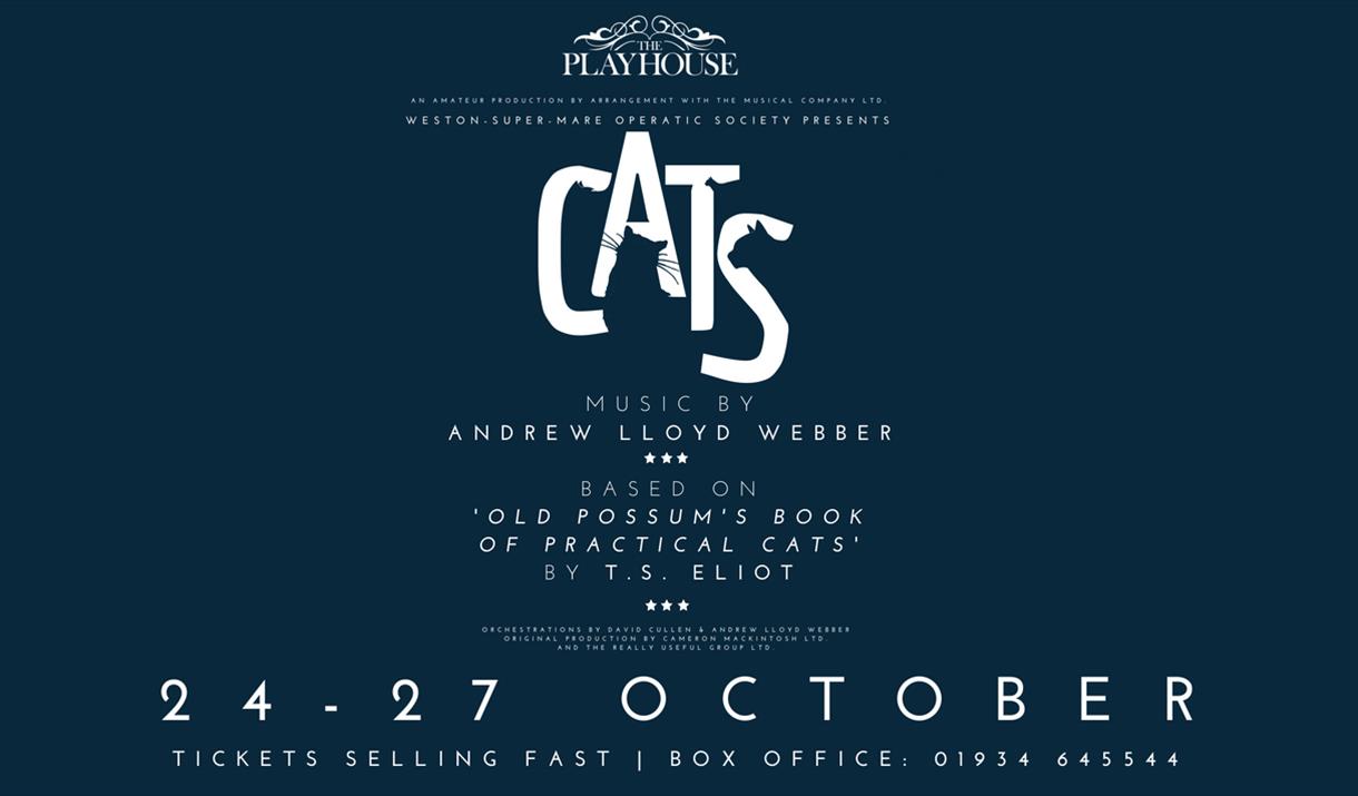 Cats