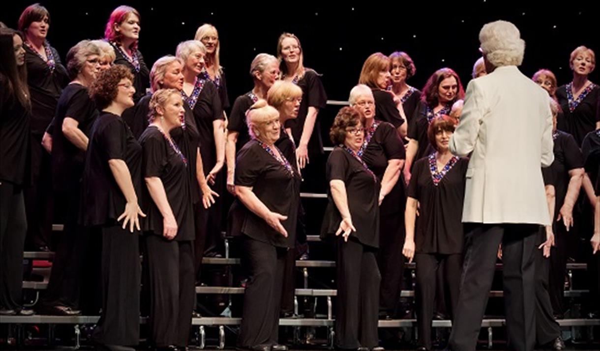 Waves of Harmony