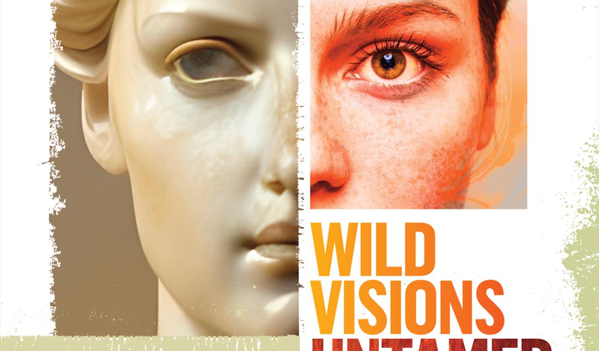 wild visions - untamed myth image