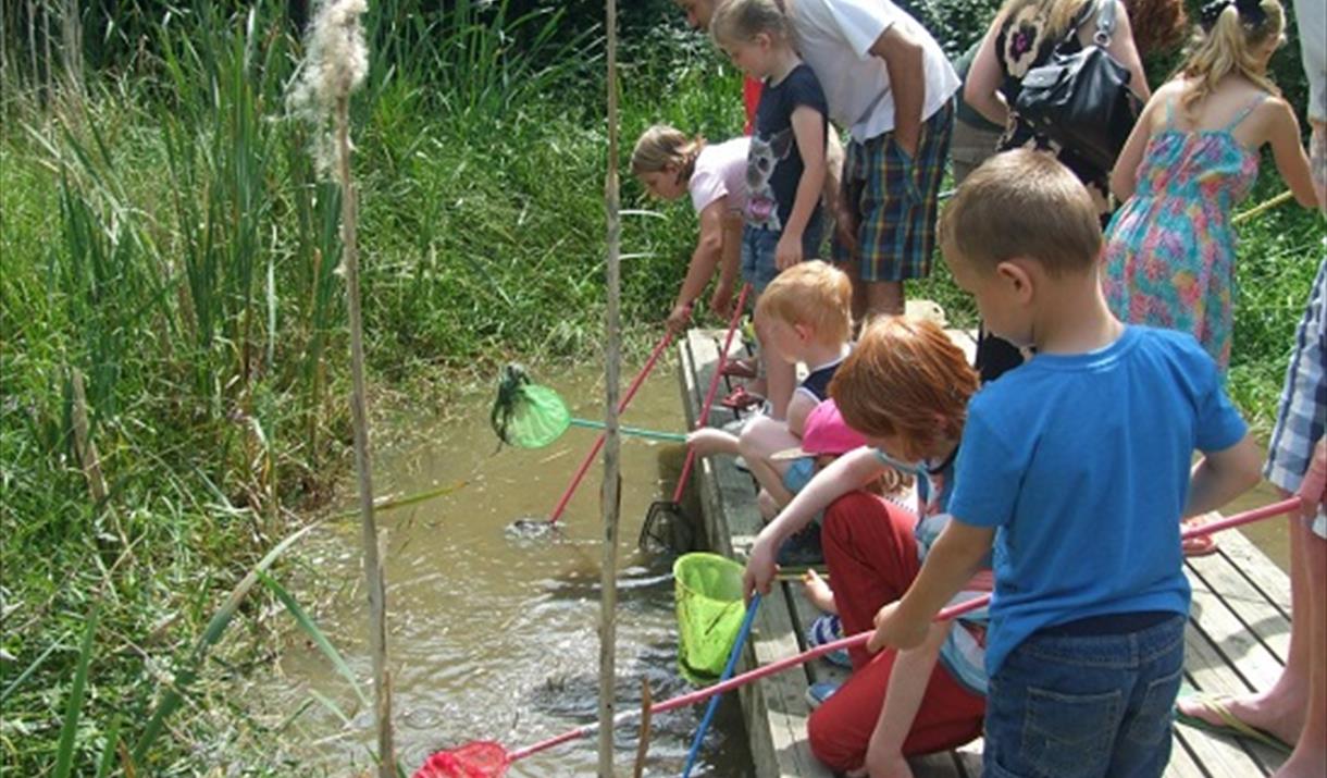 Wildlife Day