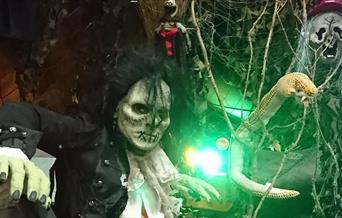 Halloween Family Fun Day