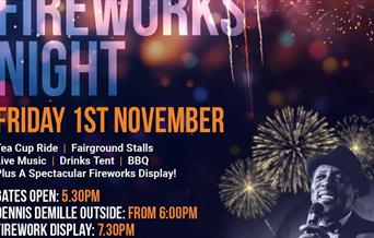 Poster advertising a fireworks display at Cadbury House, Congresbury