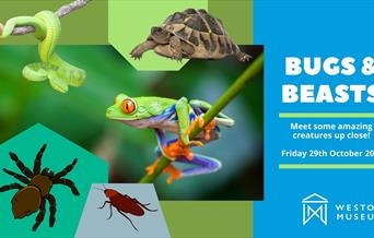 Bugs & Beasts Workshops