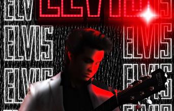 A poster advertising an Elvis tribute Night at The Blues Bar, Weston-super-Mare