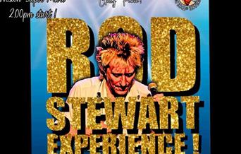 Image of a Rod Stewart tribute act with the words Rod Stewart Experience written in Gold