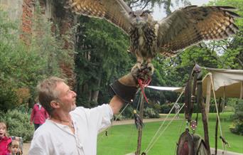 Medieval Falconry at the Bishop's Palace