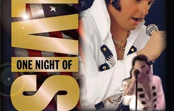 One Night of Elvis