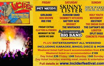 Poster featuring a walrus, a photo of a performer on stage and lots of text to advertise a weekend music festival at Sand Bay near Weston-super-Mare
