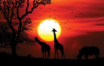 Murder on Safari